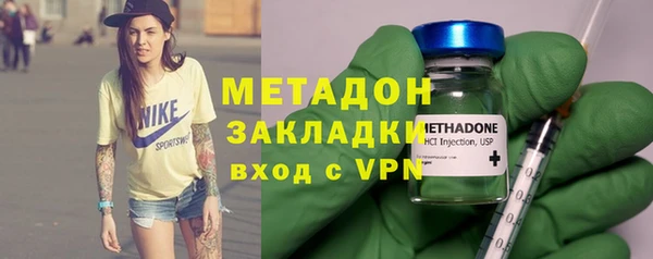 прущие грибы Волоколамск