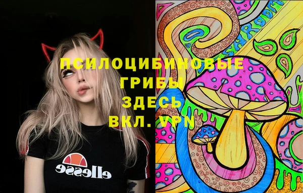 ешки Вяземский